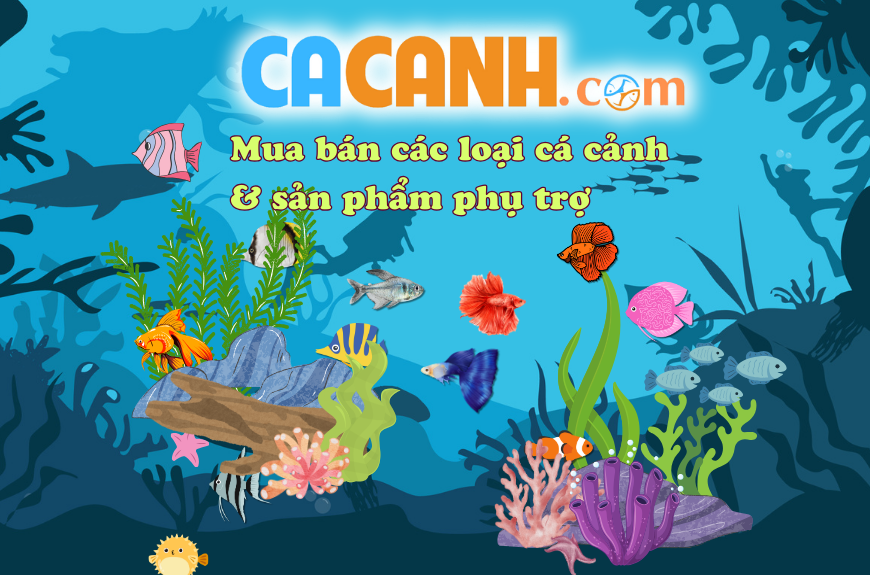 Bệnh viện và phòng khám